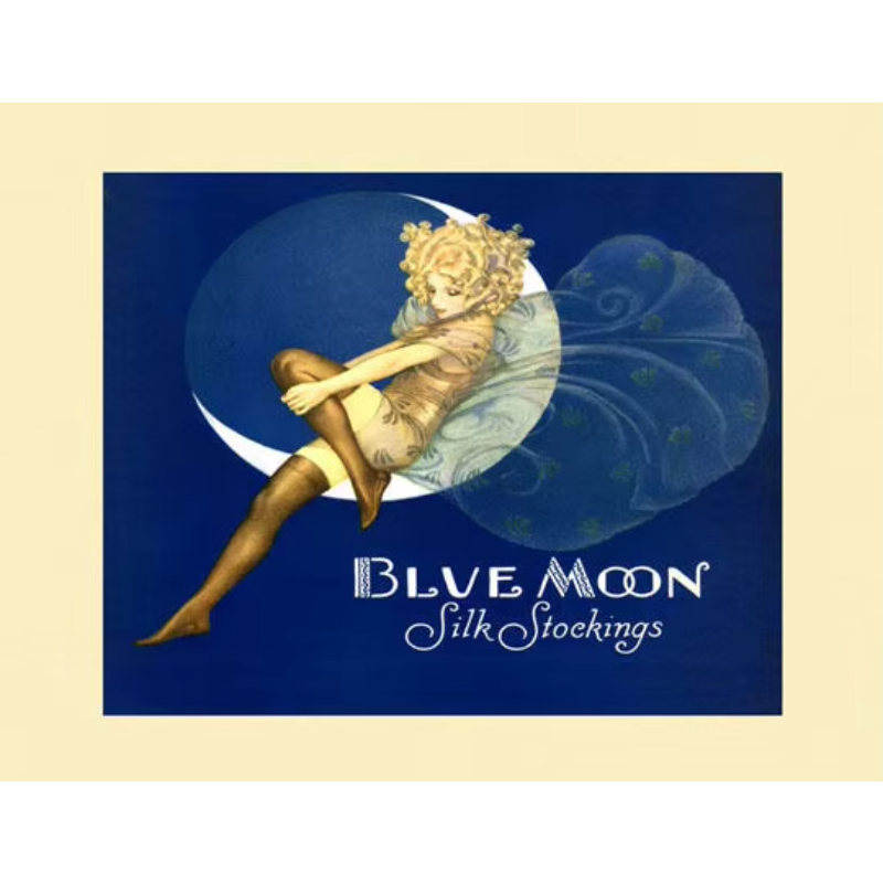 BLUE MOON Fairy Stockings Fash - Vintage Fashion Prints For Wall ulasan dan harga